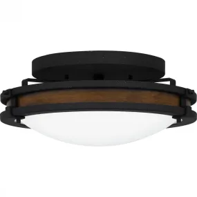 3 Light Quoizel Flush Mount Model: QFL5610NI