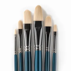 ARTdiscount Pro Oil & Acrylic Filbert Brush Set of 6