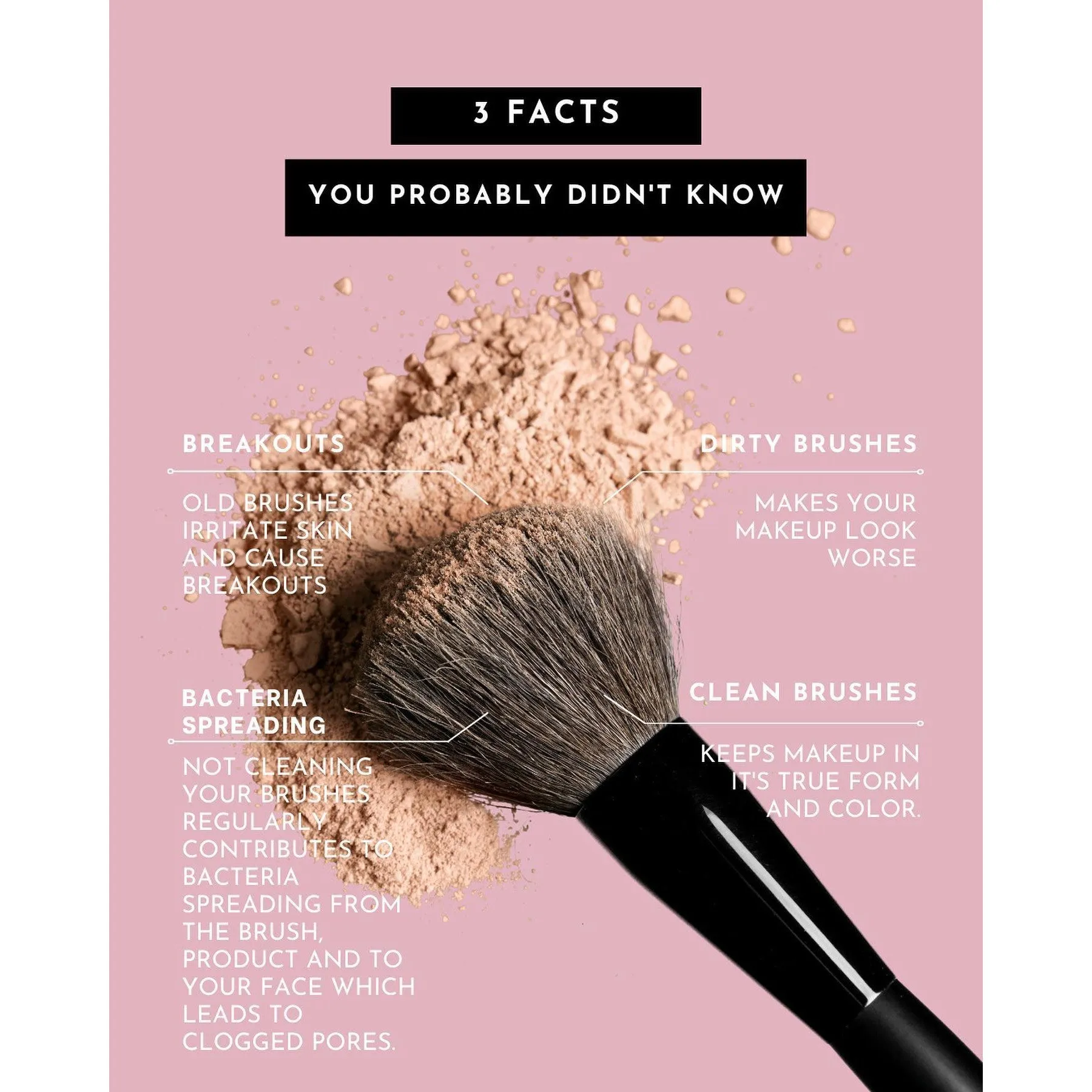 Best of Face Brushes