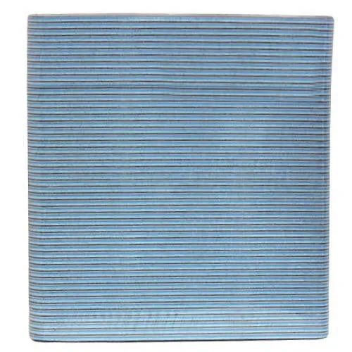 Black/Blue Washable File 80/80