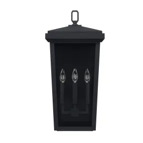 Donnelly Coastal Outdoor Wall Lantern - 24" - Black