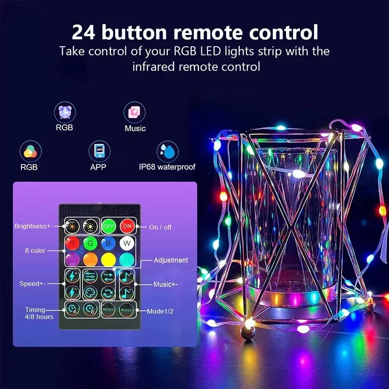 Dreamcolor Rgb Led Strip WS2812B Bluetooth Smart String Fairy Lights Christmas Garland Light Waterproof for Party Curtain Room