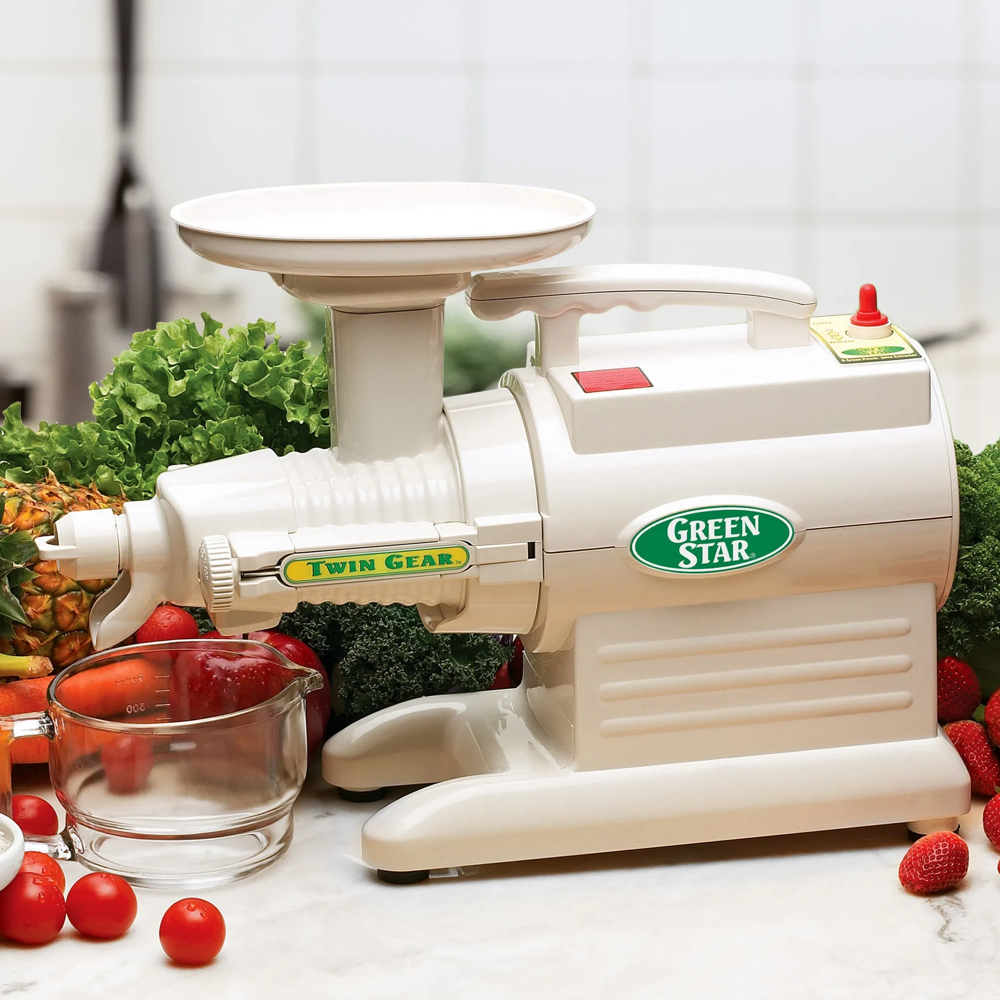 Greenstar® Original Basic Twin Gear Slow Masticating Juicer