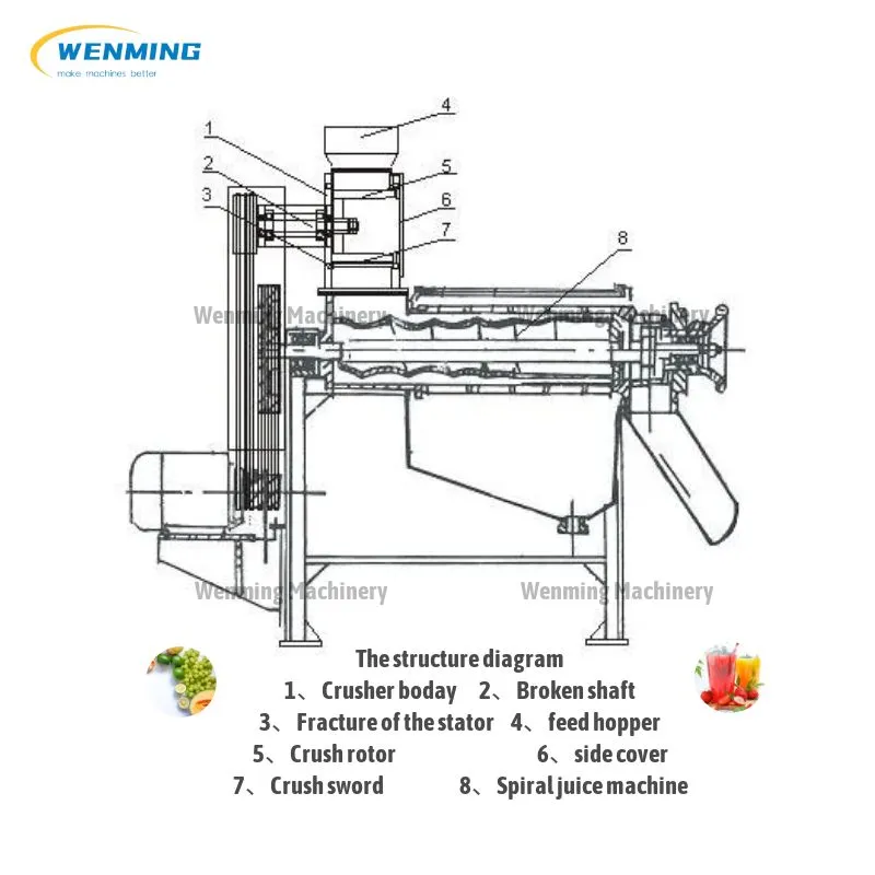 Leek Juicer Machine first curshign then juicing