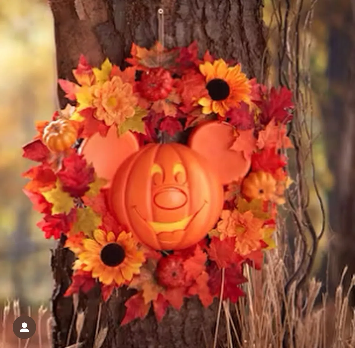 Pumpkin Mickey Wreath